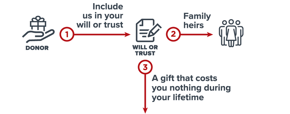 This diagram represents how to leave a gift through your will or trust - a gift that costs nothing during lifetime.
